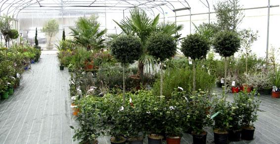 Coulonnier Amenagement Paysager A Pouance COULONNIER Coulonnnier Paysagiste Realisation 52