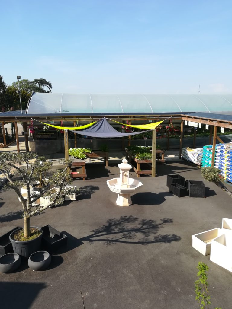 Coulonnier Amenagement Paysager A Pouance Coulonnier Fleuriste Paysagiste IMG 20180421 171622 768x1024 1