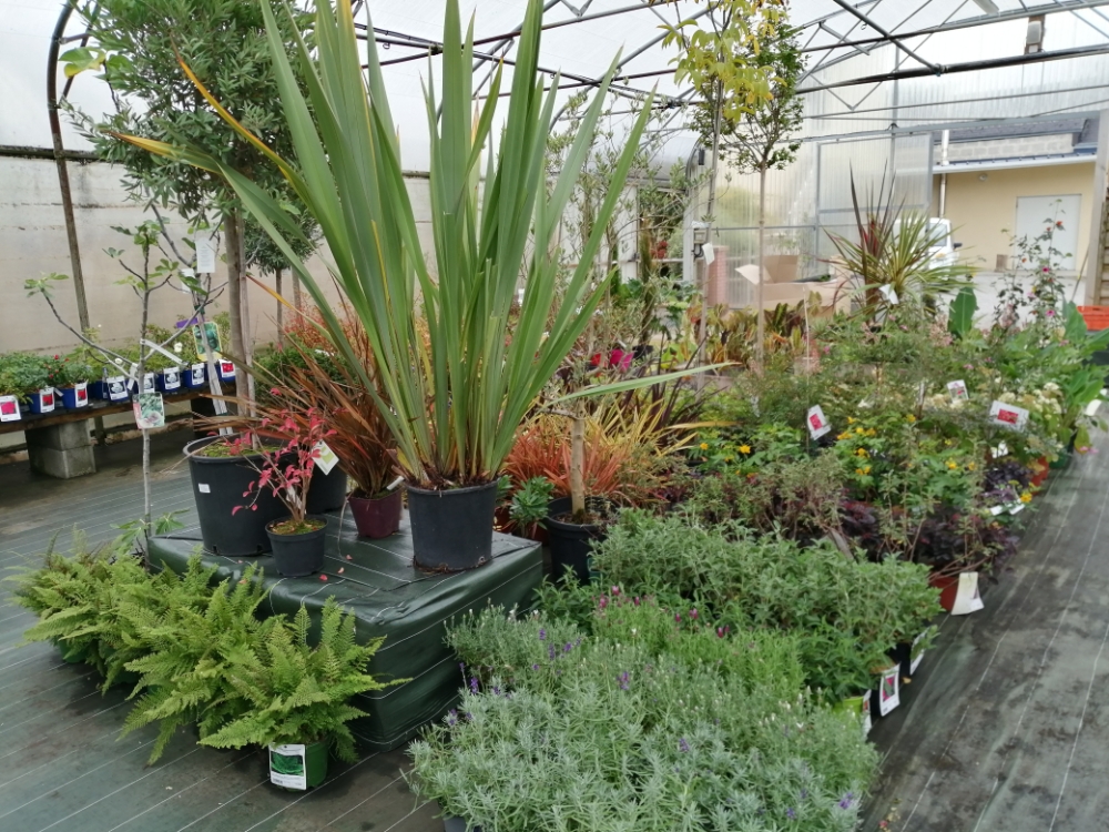 Coulonnier Amenagement Paysager A Pouance Coulonnier Fleuriste Paysagiste Img 7 1168