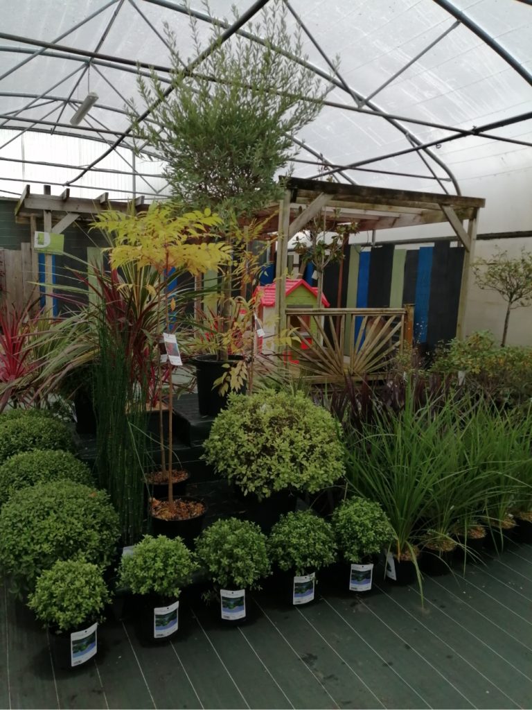 Coulonnier Amenagement Paysager A Pouance Coulonnier Fleuriste Paysagiste Img 9 1151 768x1024 1