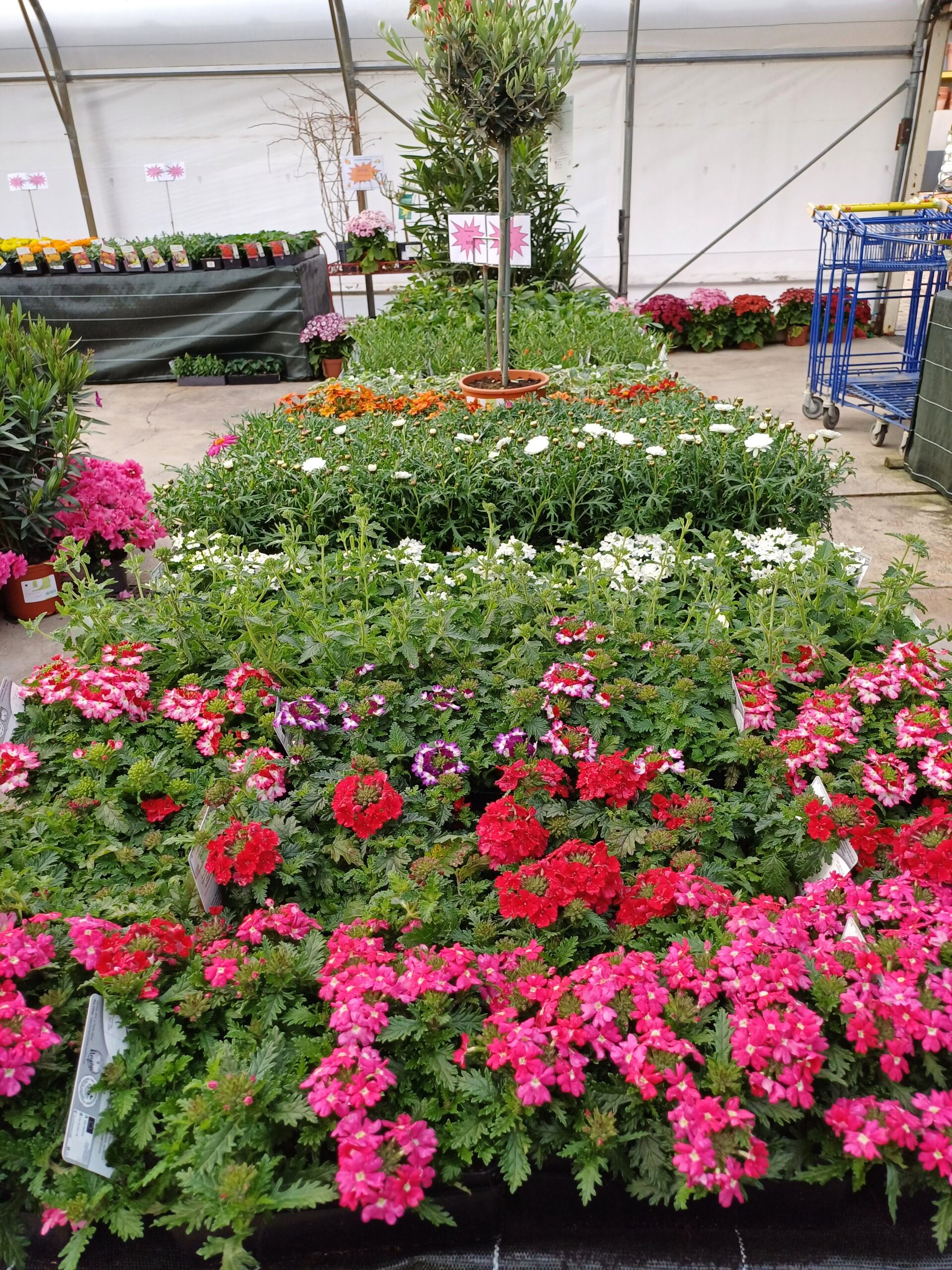 Coulonnier Amenagement Paysager A Pouance 3ae51842 Faac 4a37 B016 Abf60cb1ccae 1